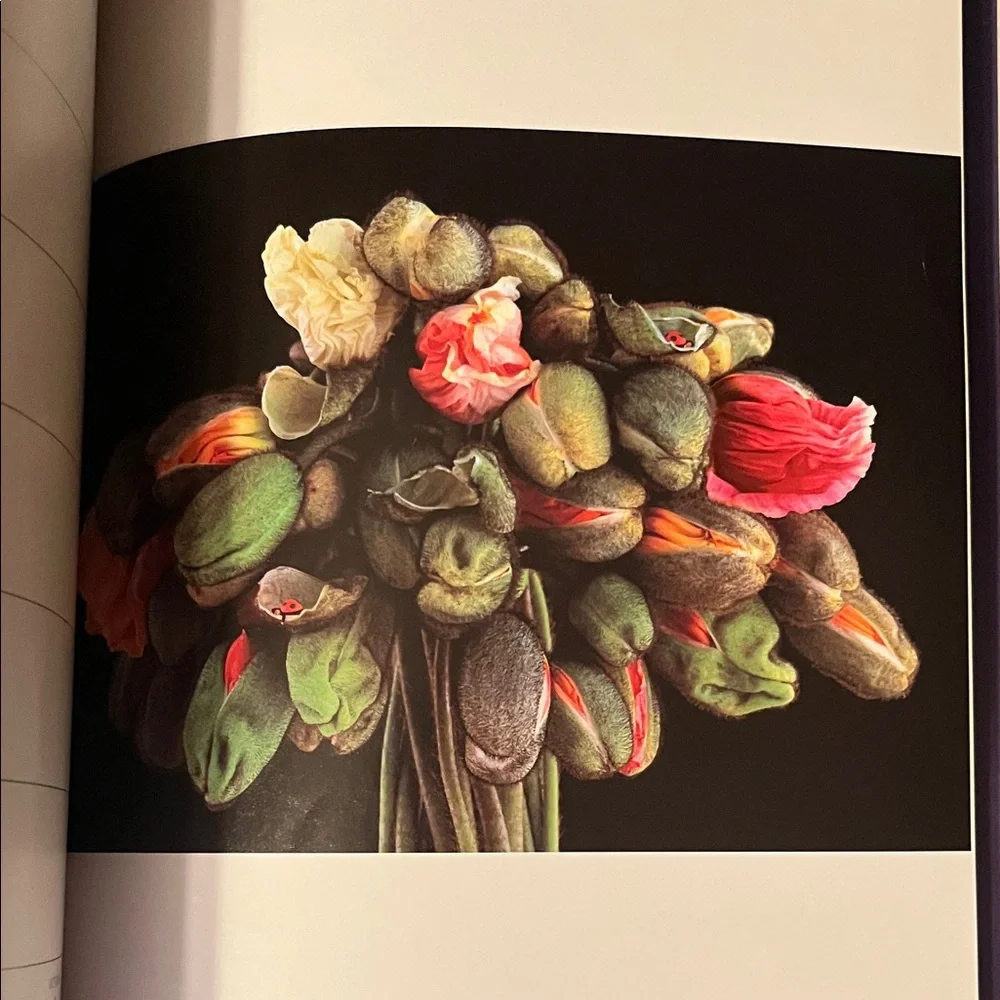 Anne Geddes 1998 Datebook - Purple and Cream Cover